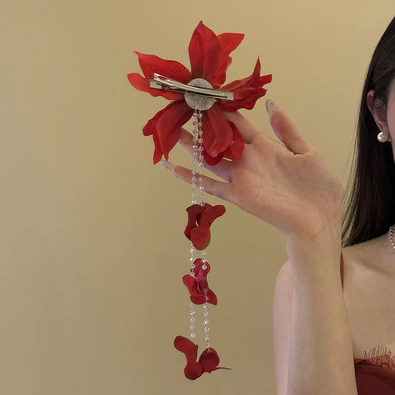 Women Accessories Sale - Promoção: Presilha de Cabelo Bico de